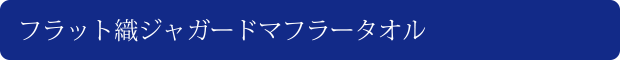 フラット織ジャガードマフラータオル